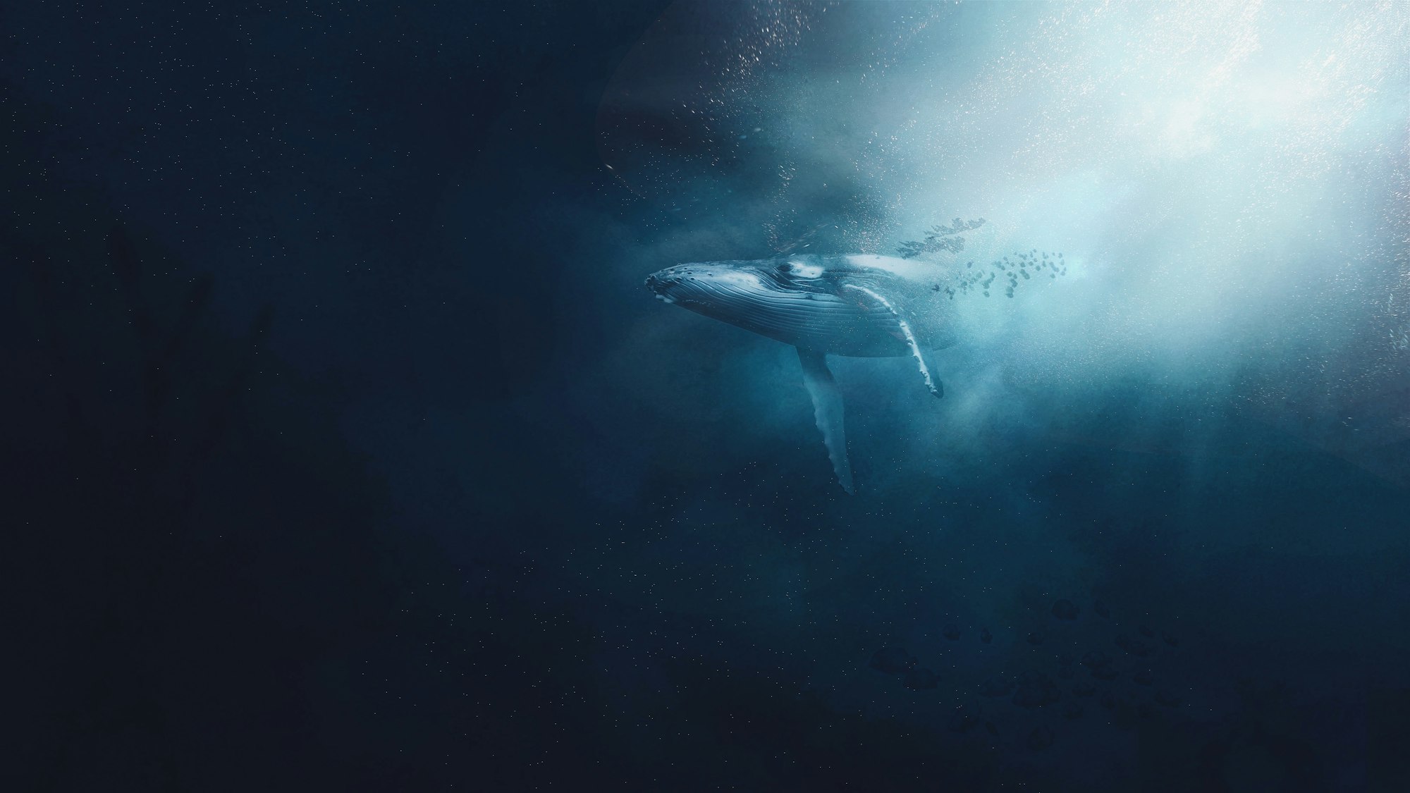 baleia no fundo do mar