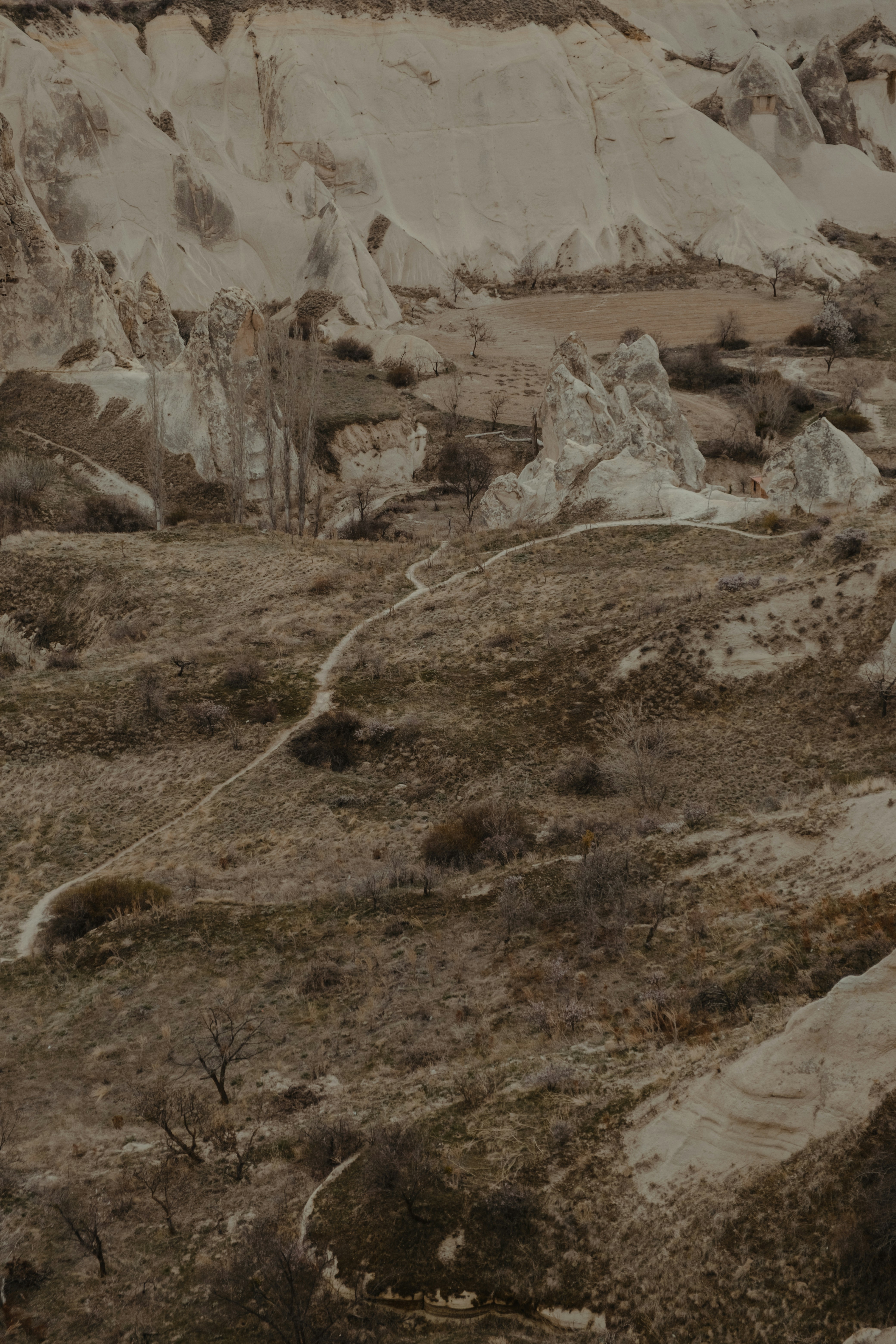 Photo by faruktokluoglu