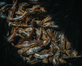 A pile of dried fish with a textured and rough appearance, featuring prominent eyes and scales. The fish are stacked closely together with a dark background, enhancing their metallic and earthy tones.