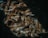 A pile of dried fish with a textured and rough appearance, featuring prominent eyes and scales. The fish are stacked closely together with a dark background, enhancing their metallic and earthy tones.