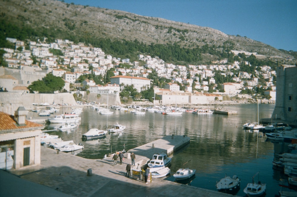 white and blue boat on body of water during daytime