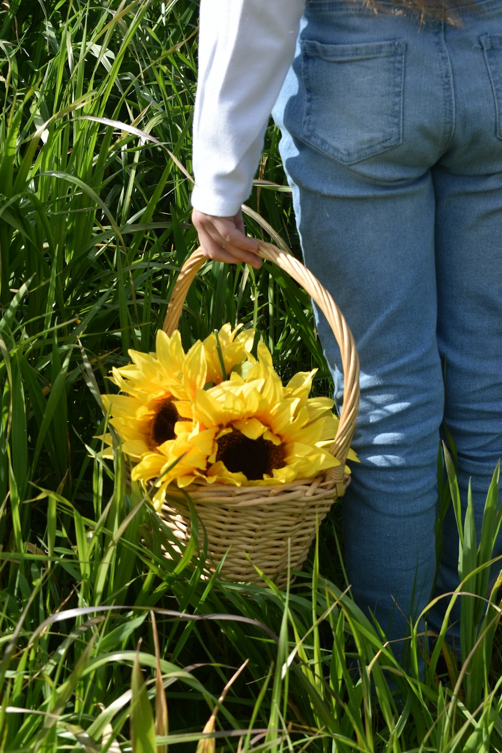 person in blue denim jeans holding yellow flower bouquet photo – Free Basket  Image on Unsplash