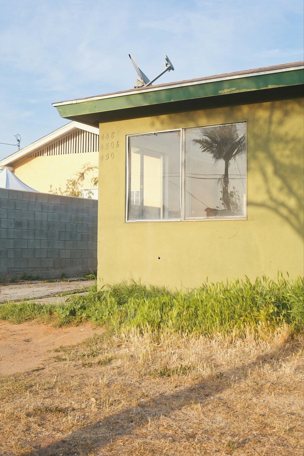 green grass beside white concrete wall