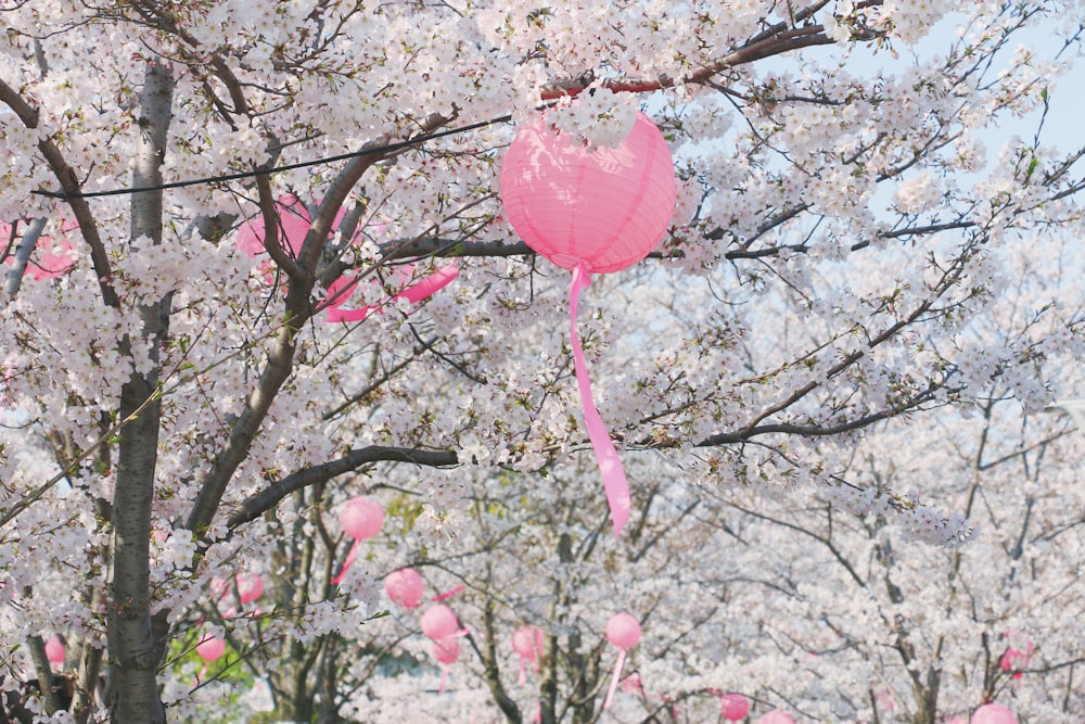 pink heart balloon on brown tree branch