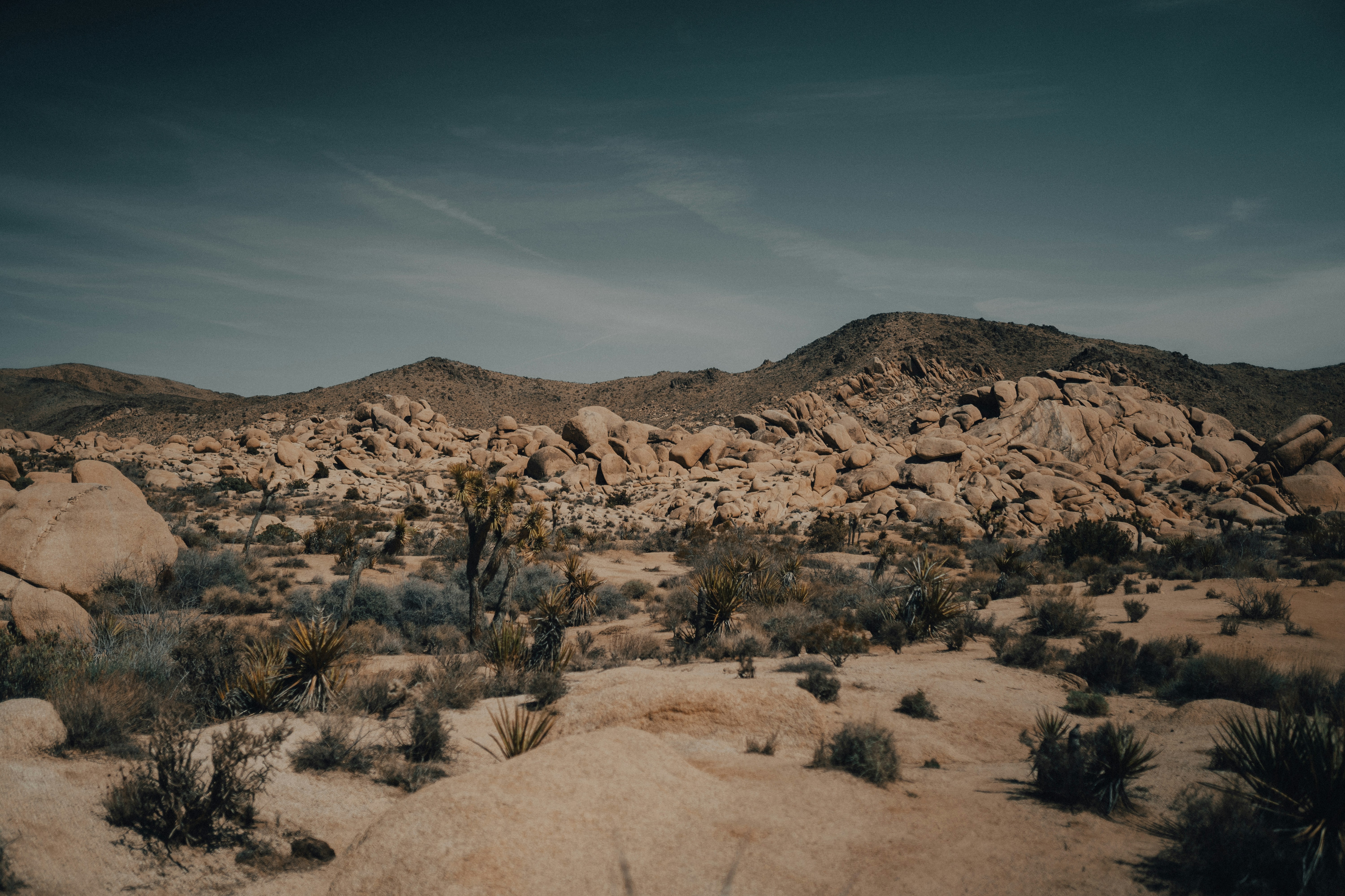 Photo by heyitsjamaal