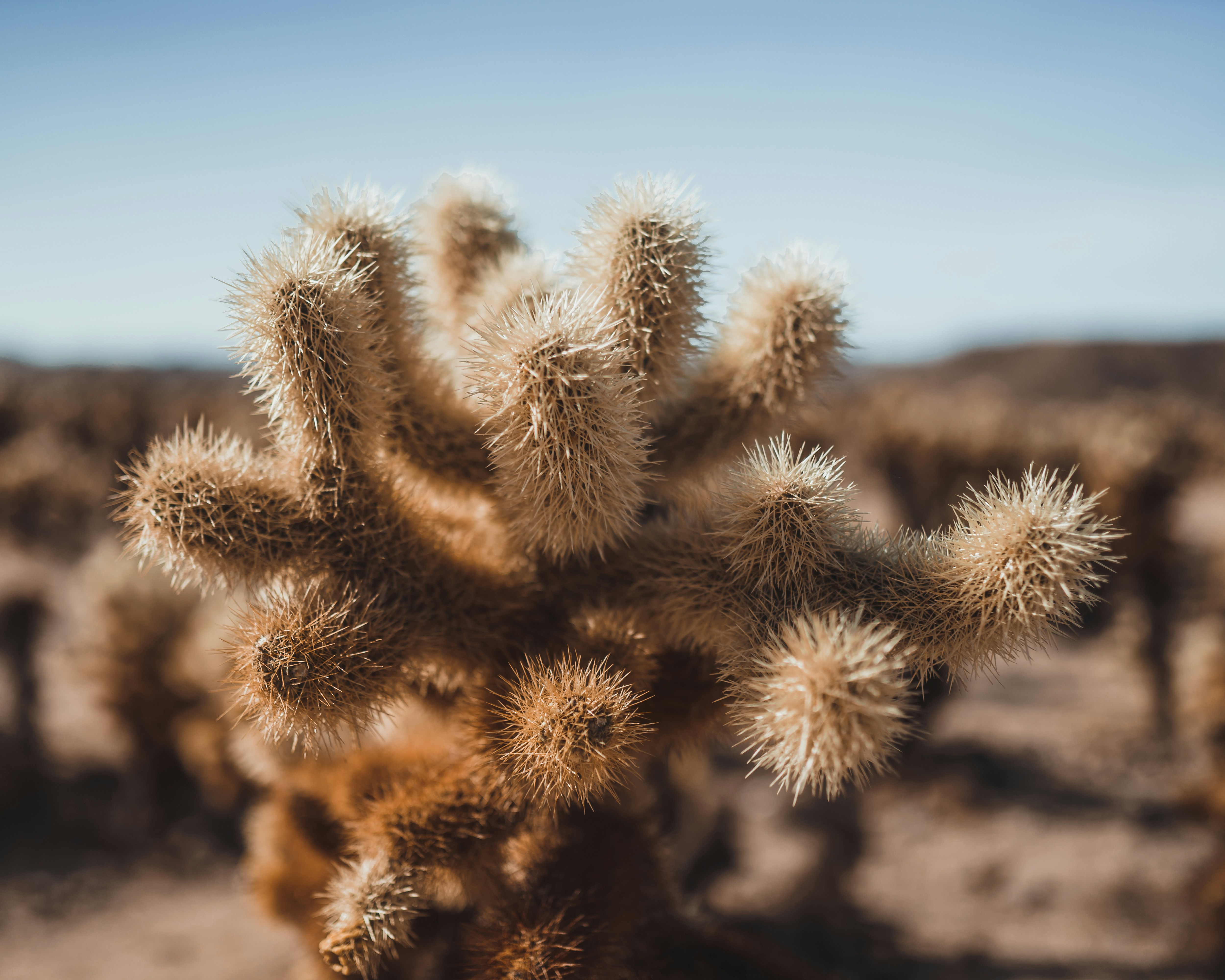 Photo by heyitsjamaal