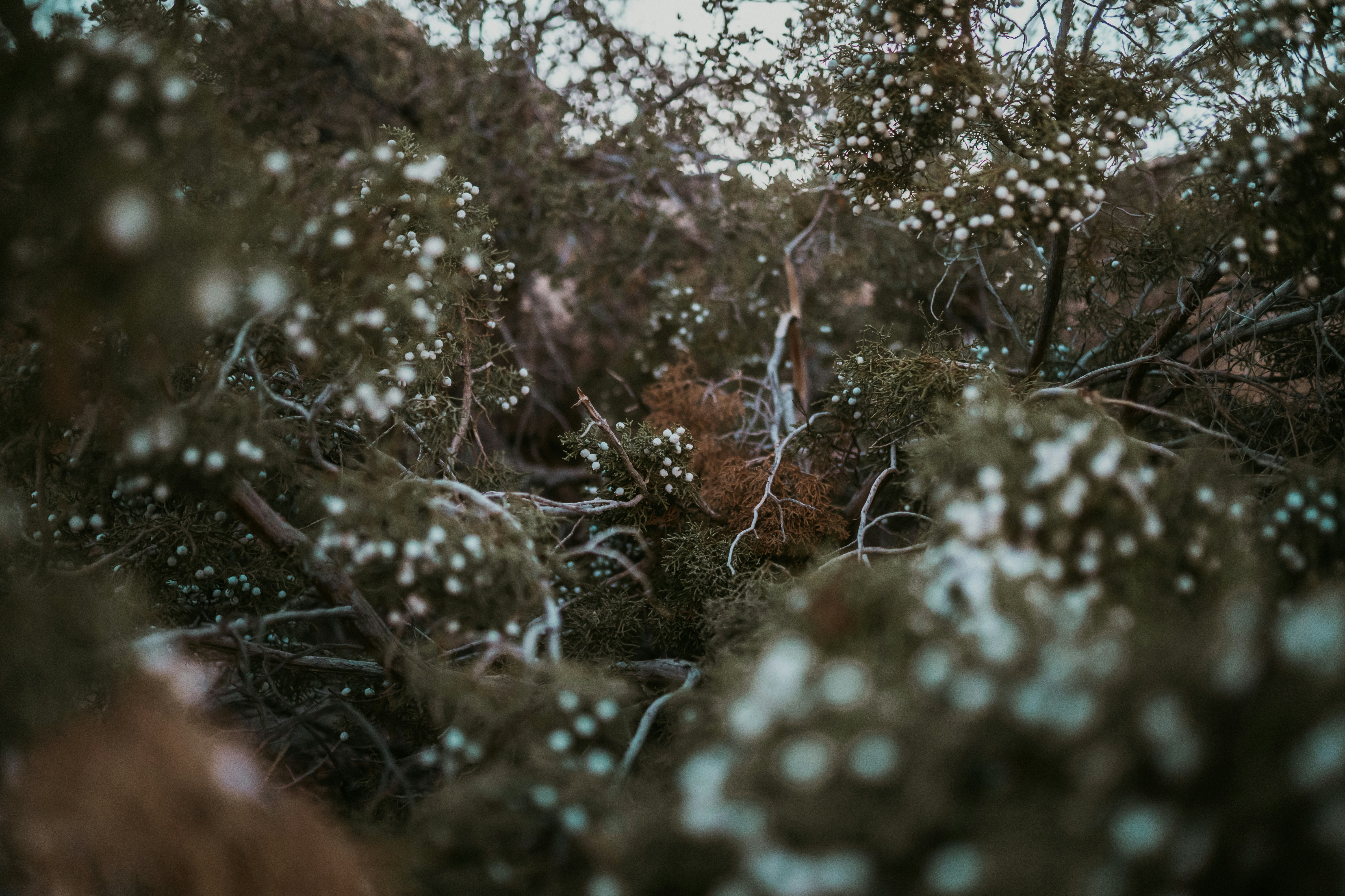 Photo by heyitsjamaal