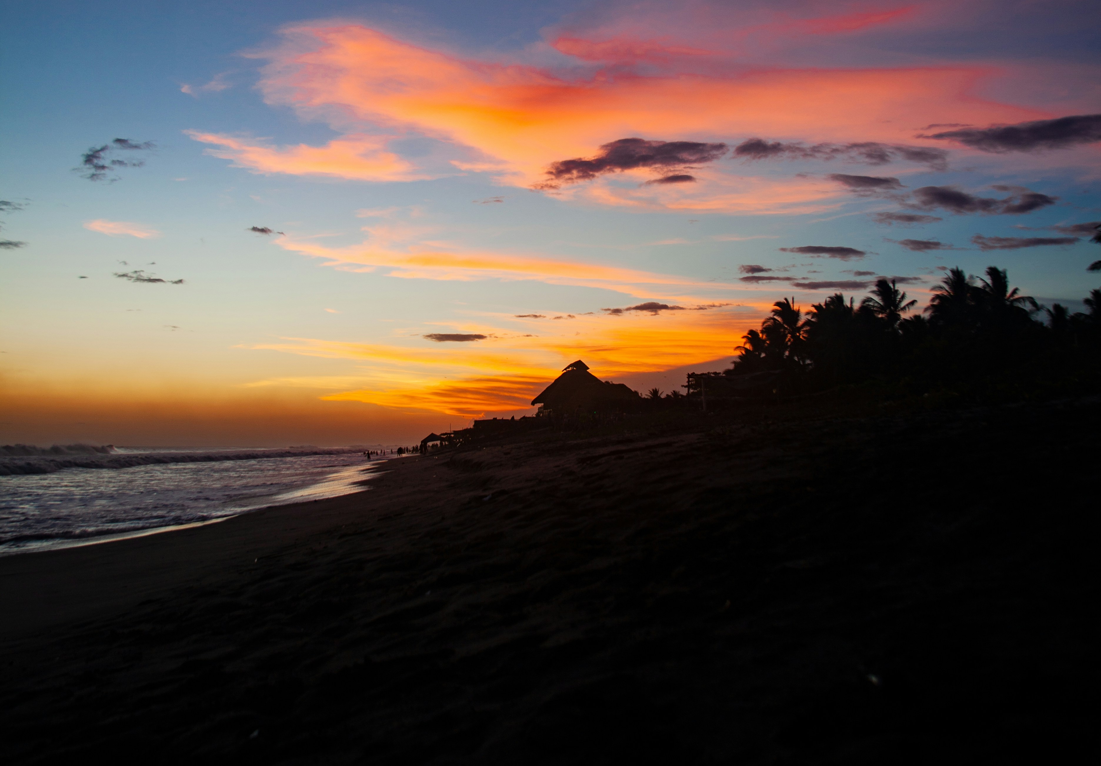 Photo by alejandroalas7536