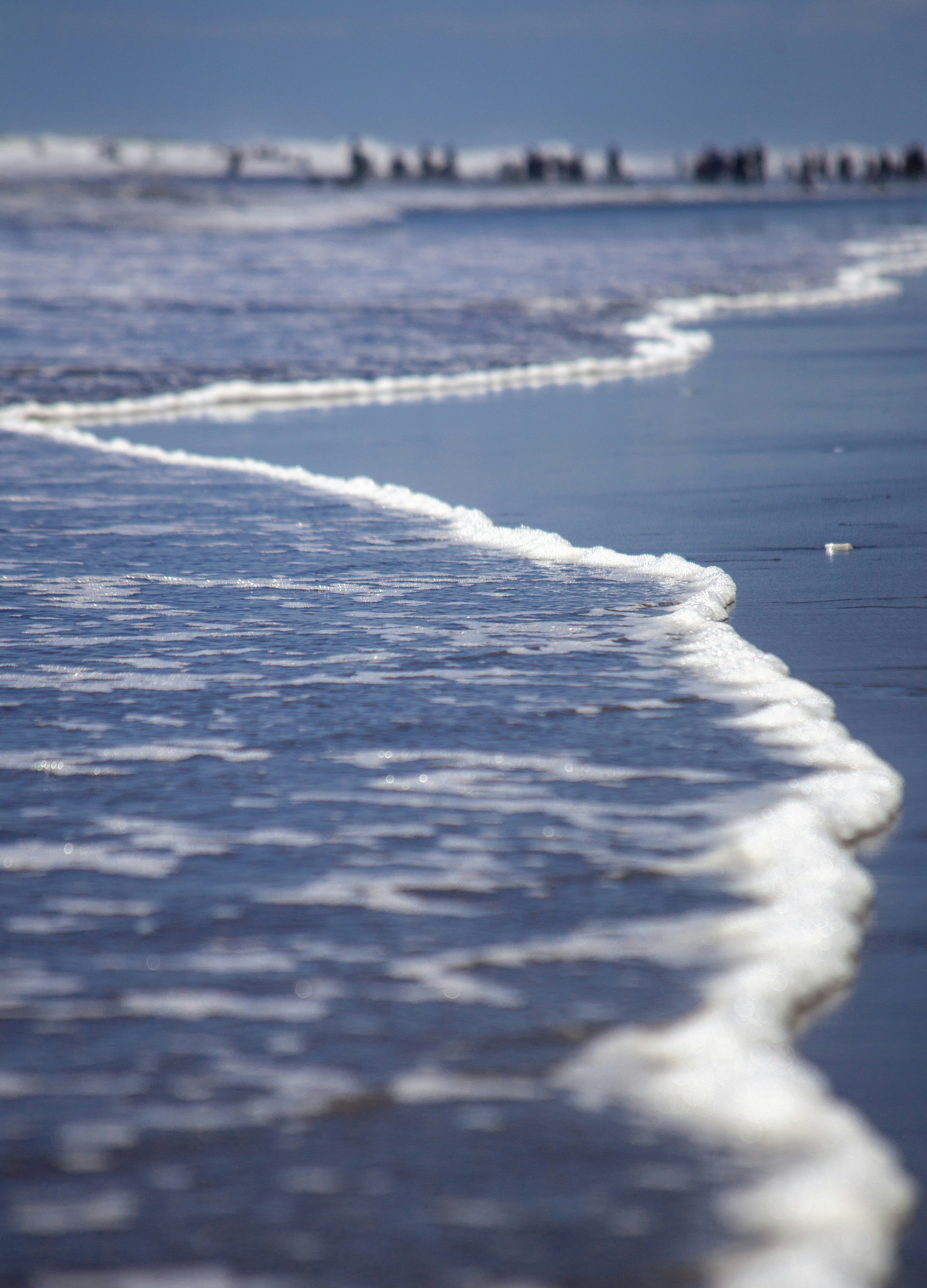 Photo by alejandroalas7536