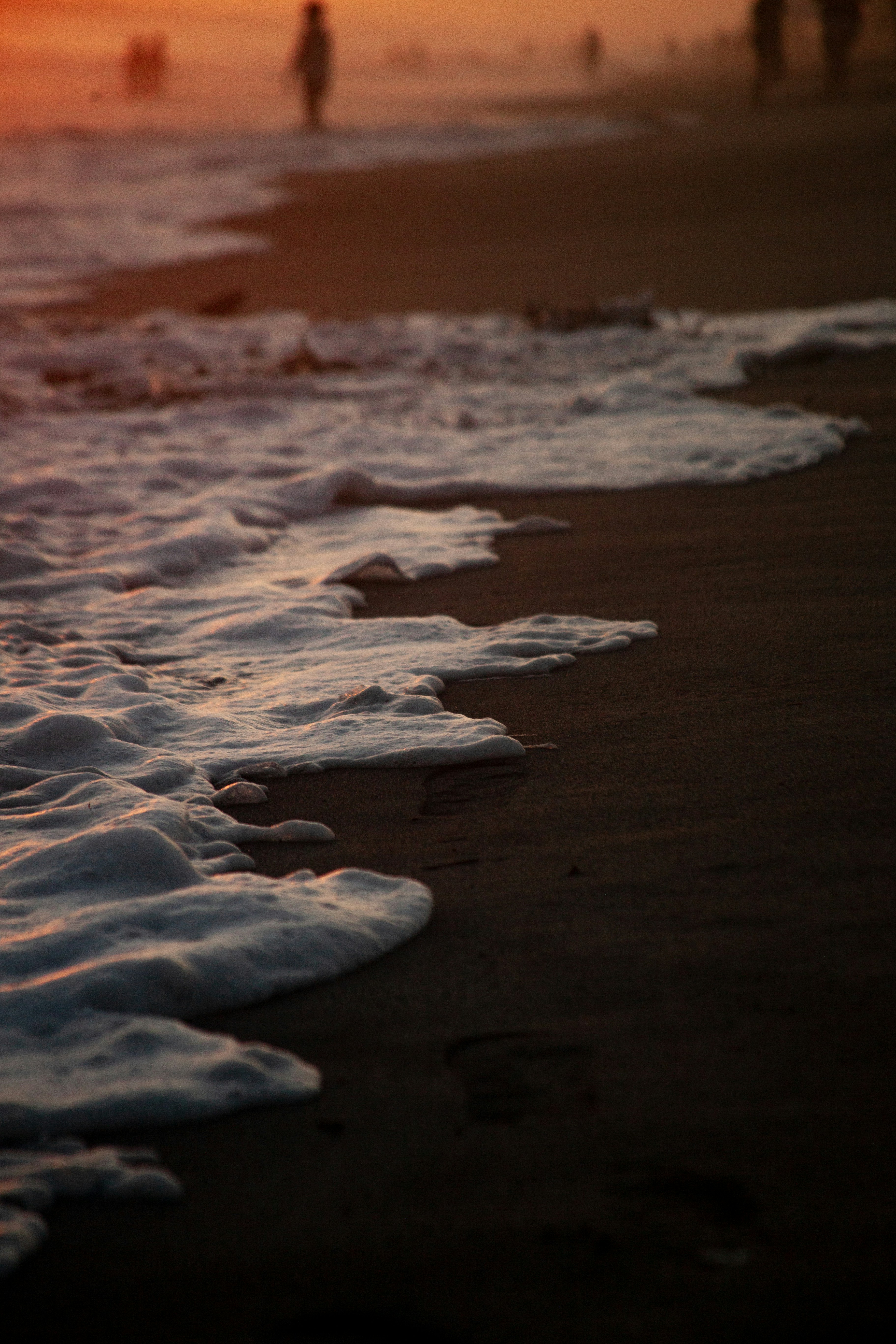 Photo by alejandroalas7536