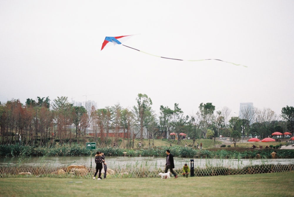 people walking on green grass field during daytime