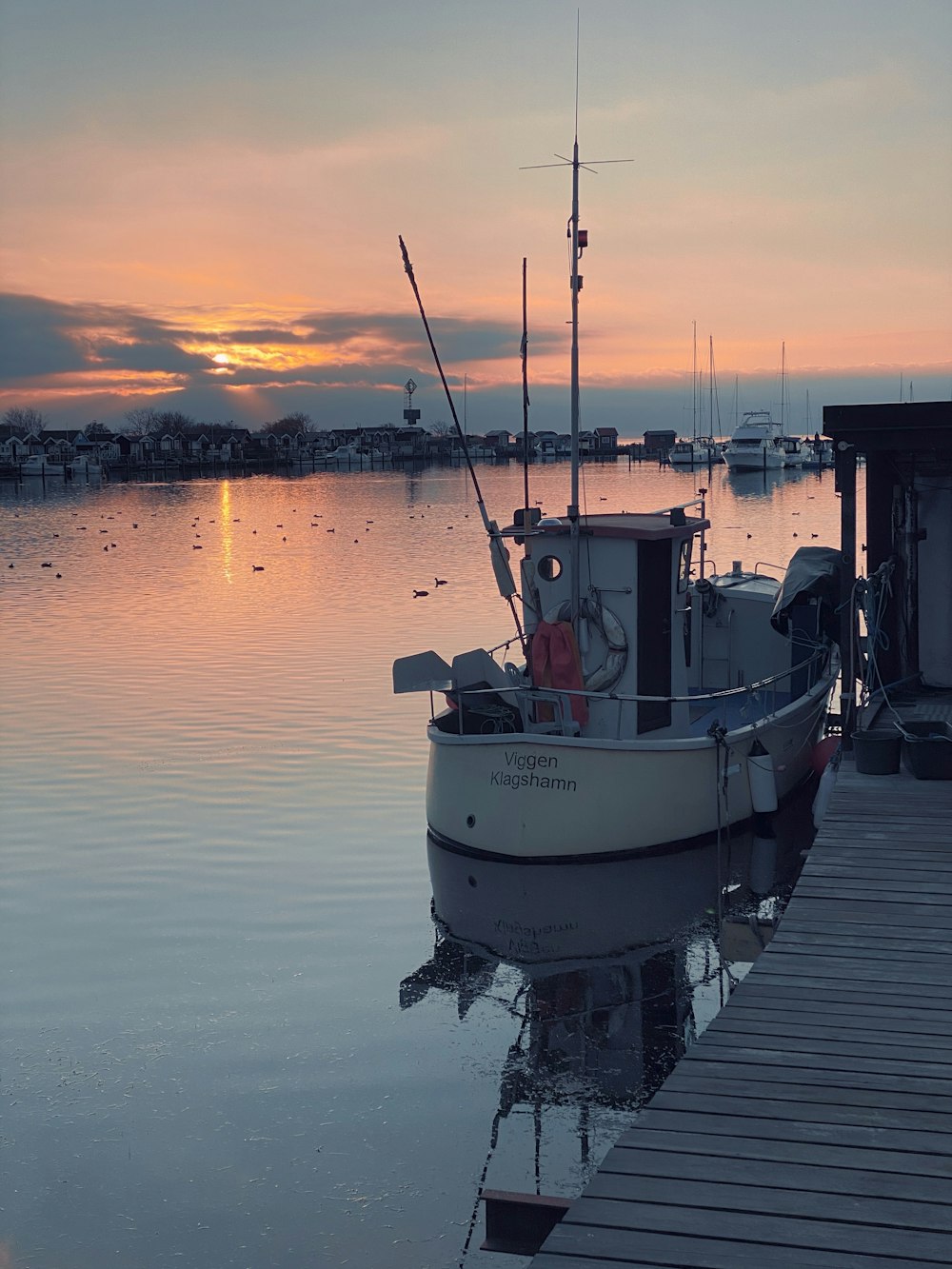 white and black boat on sea during sunset