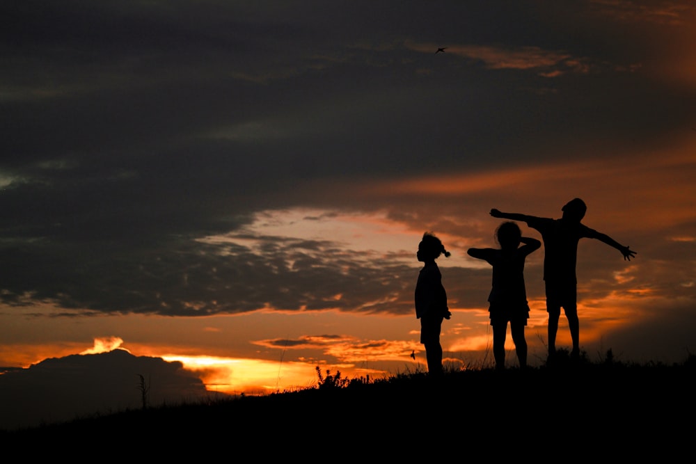 silhouette of 2 person standing on grass field during sunset