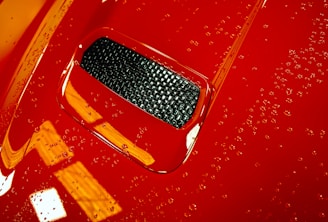 Close-up of a shiny car surface after vitrification treatment under natural light.