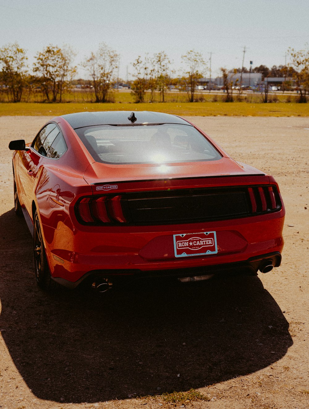 red chevrolet camaro on road during daytime