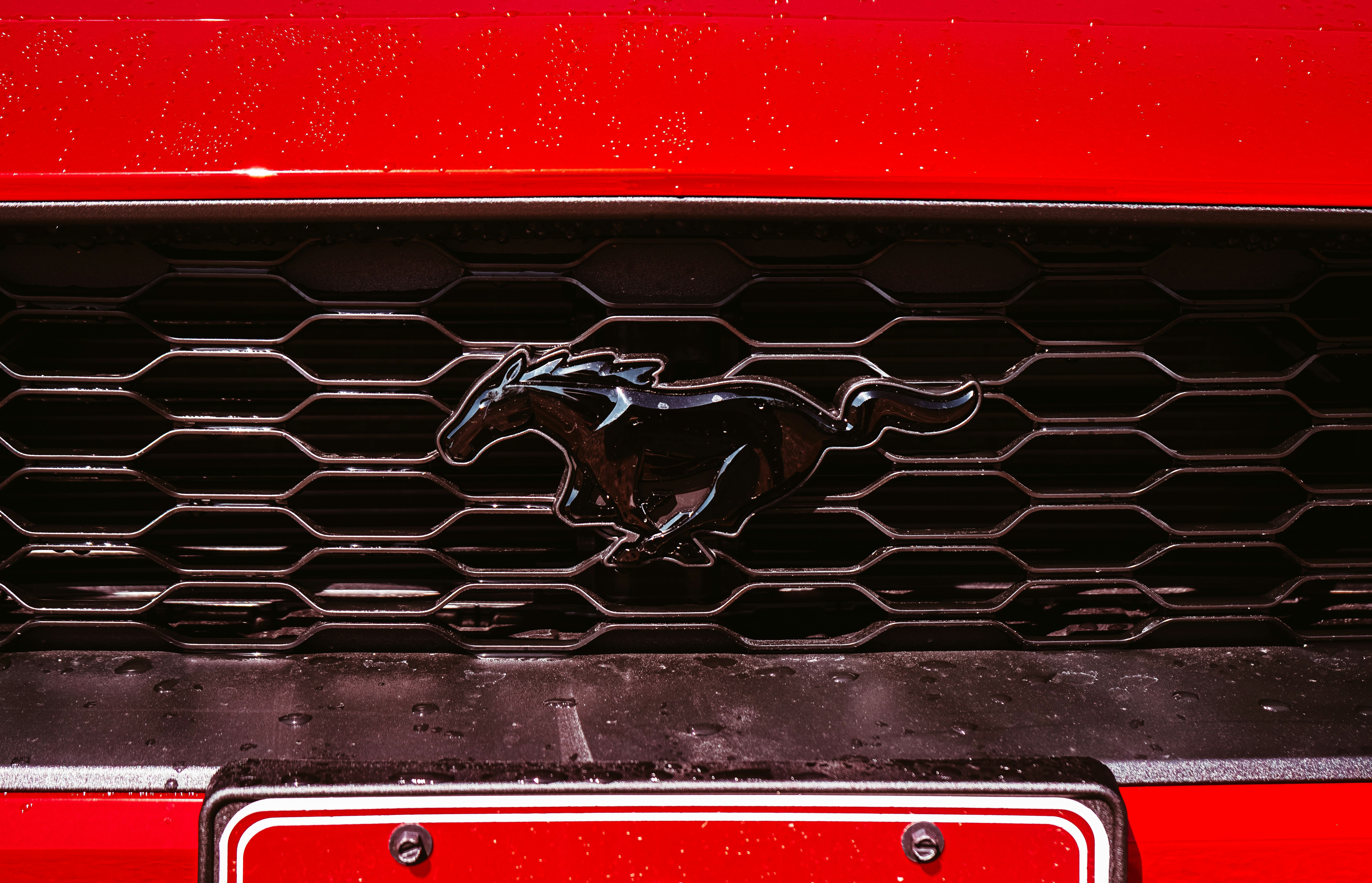 Hyundai Equus 상세