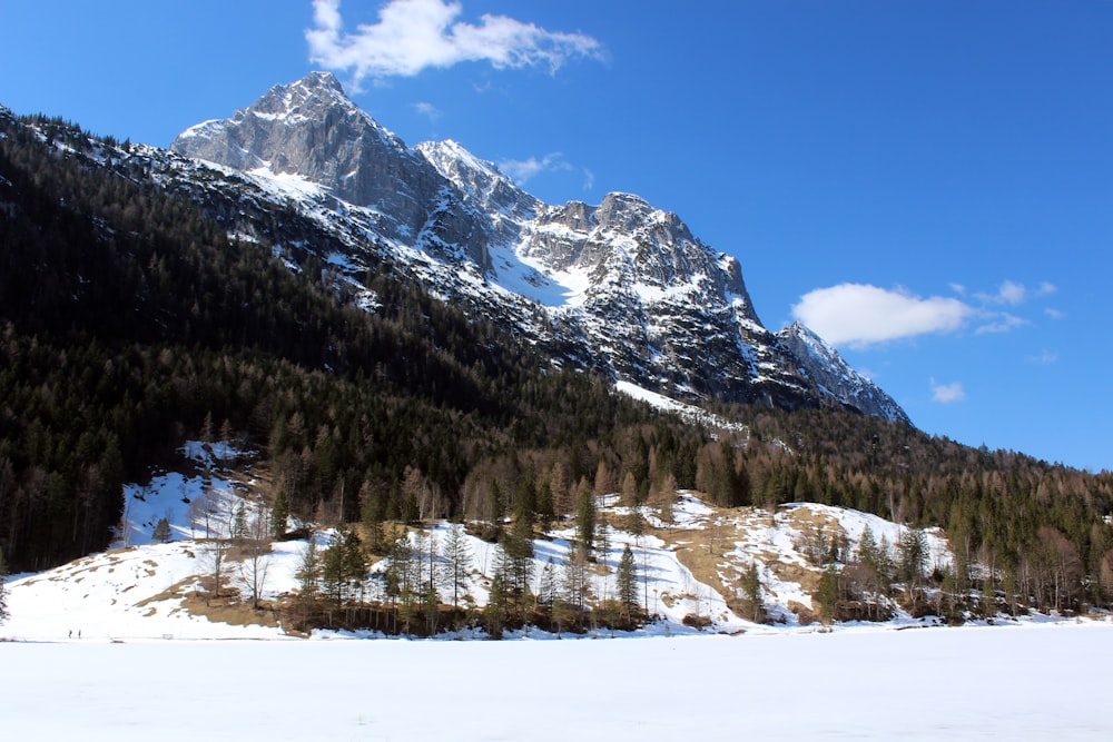 snow covered mountain during daytime