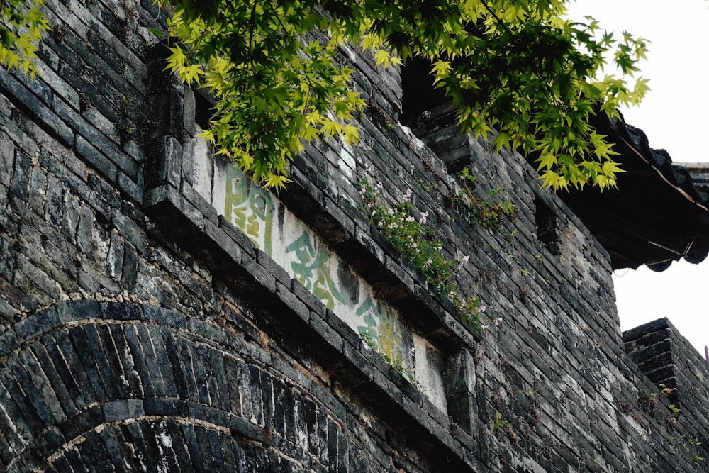 grey concrete brick wall with green trees