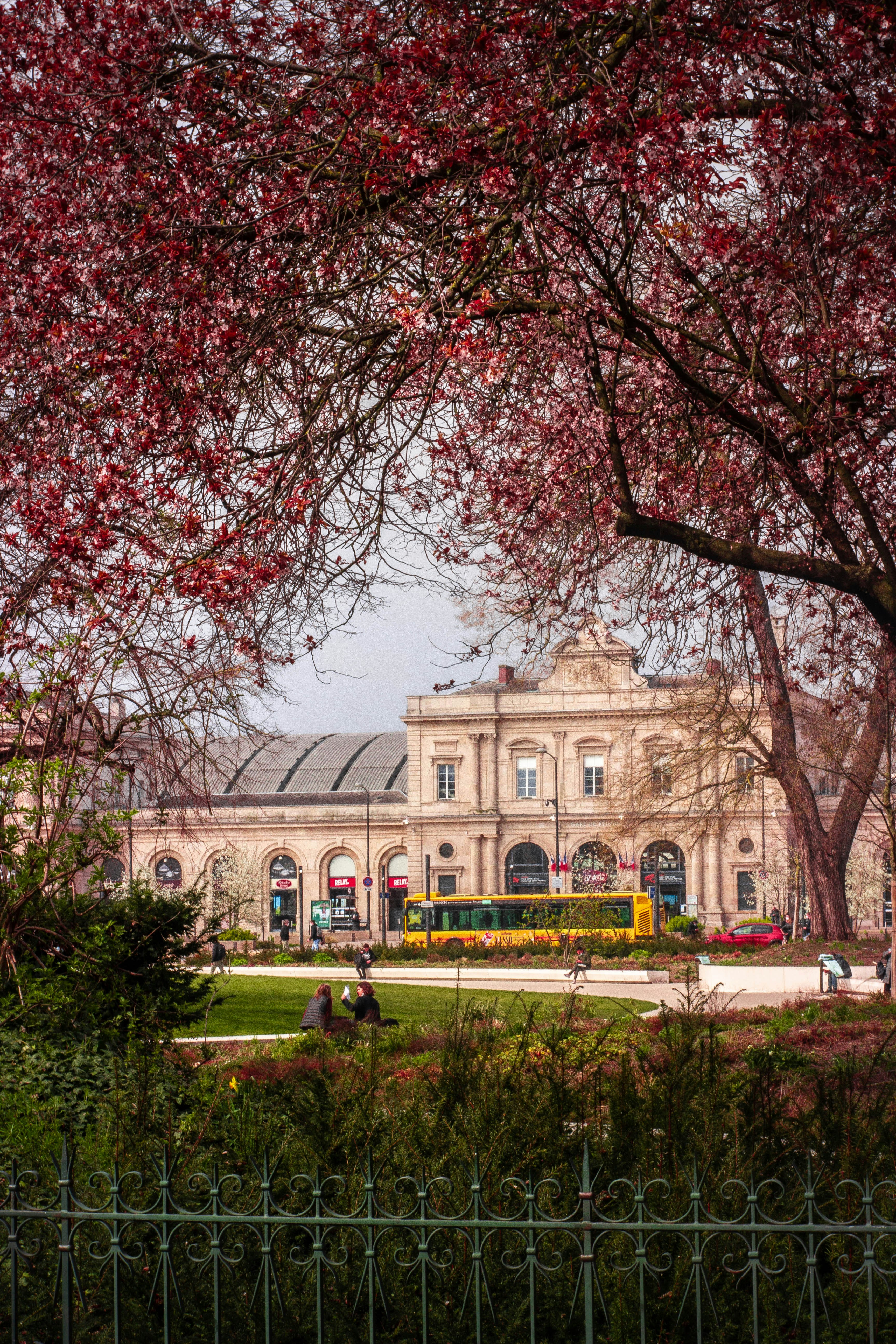 Photo by coc_photographer