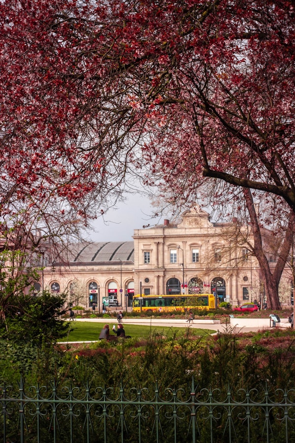Reims: Exploring Local Cuisine and Traditional Dishes