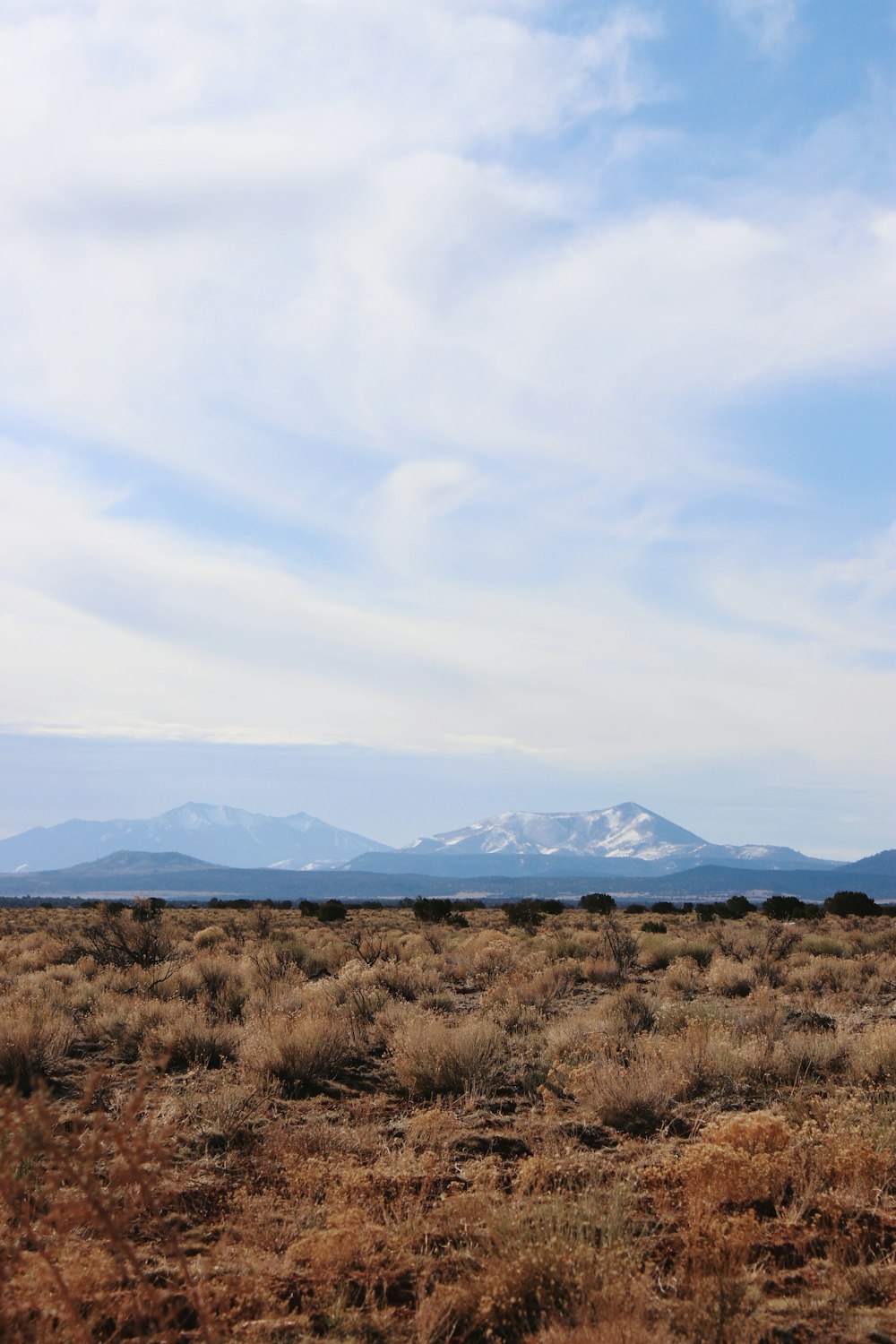 campo di erba marrone vicino alle montagne sotto nuvole bianche durante il giorno