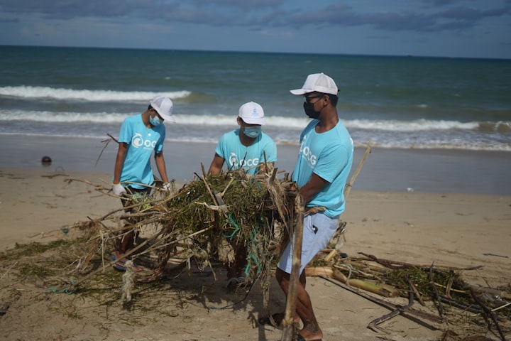 What to know about shoreline cleanup