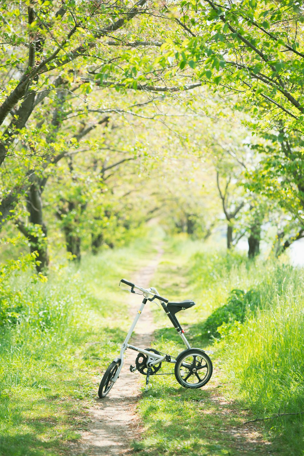 Schwarzes Fahrrad auf grünem Rasen tagsüber