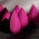 A close-up view of several pink makeup sponges arranged in a row. The focal point is on the texture of the sponges, showing their soft, porous surfaces. The sponges are teardrop-shaped, and the lighting creates shadows that emphasize their contours.