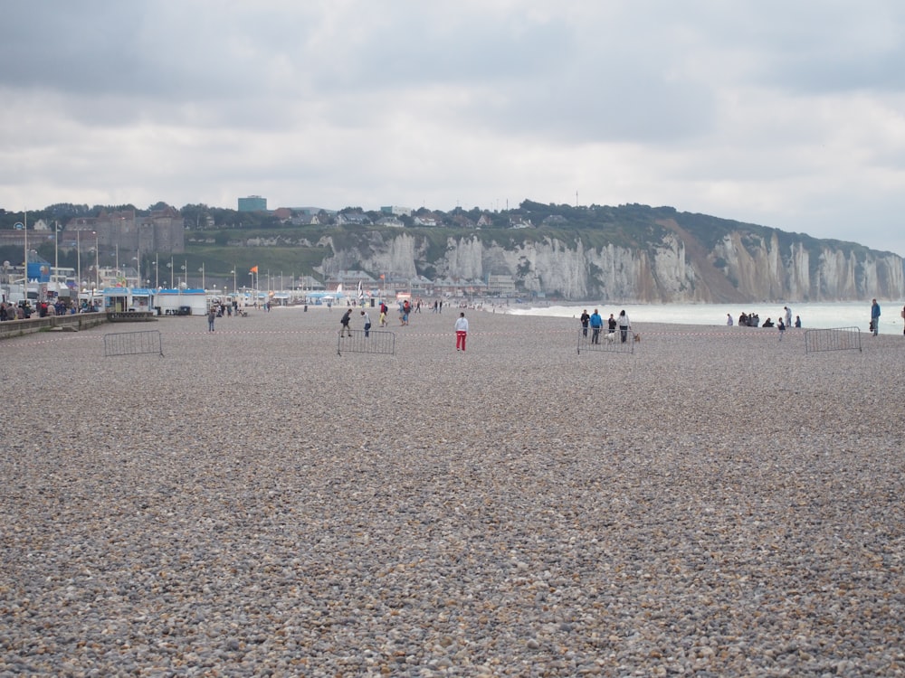 people on beach during daytime