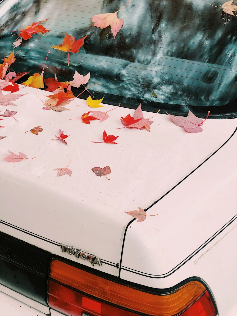 white car with water droplets