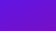 purple and pink color illustration