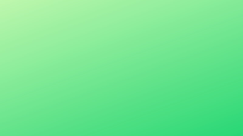 Black seed Nigella sativa powder bulk export India