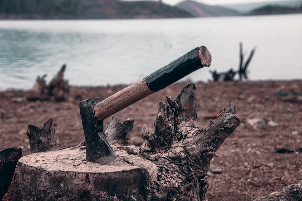 Tronco de madera marrón en la orilla durante el día