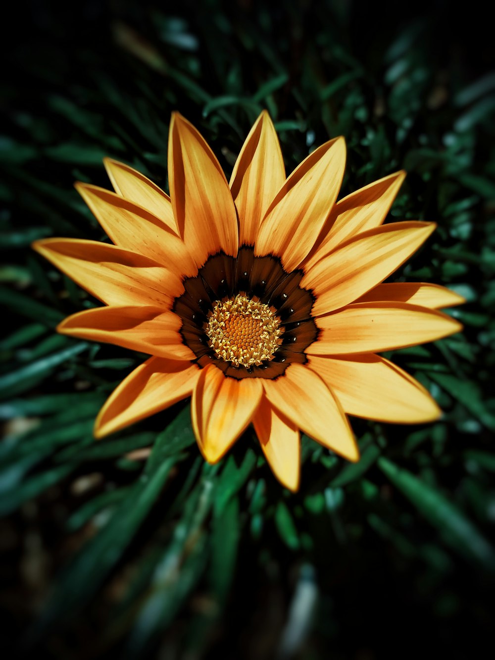 yellow flower in tilt shift lens