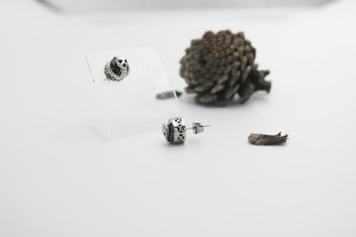 A pair of black and silver jewelry earrings is displayed against a plain white background. The earrings are adorned with skull patterns and are shown on a transparent stand. Nearby, there is a brown pine cone and a small piece of wood.