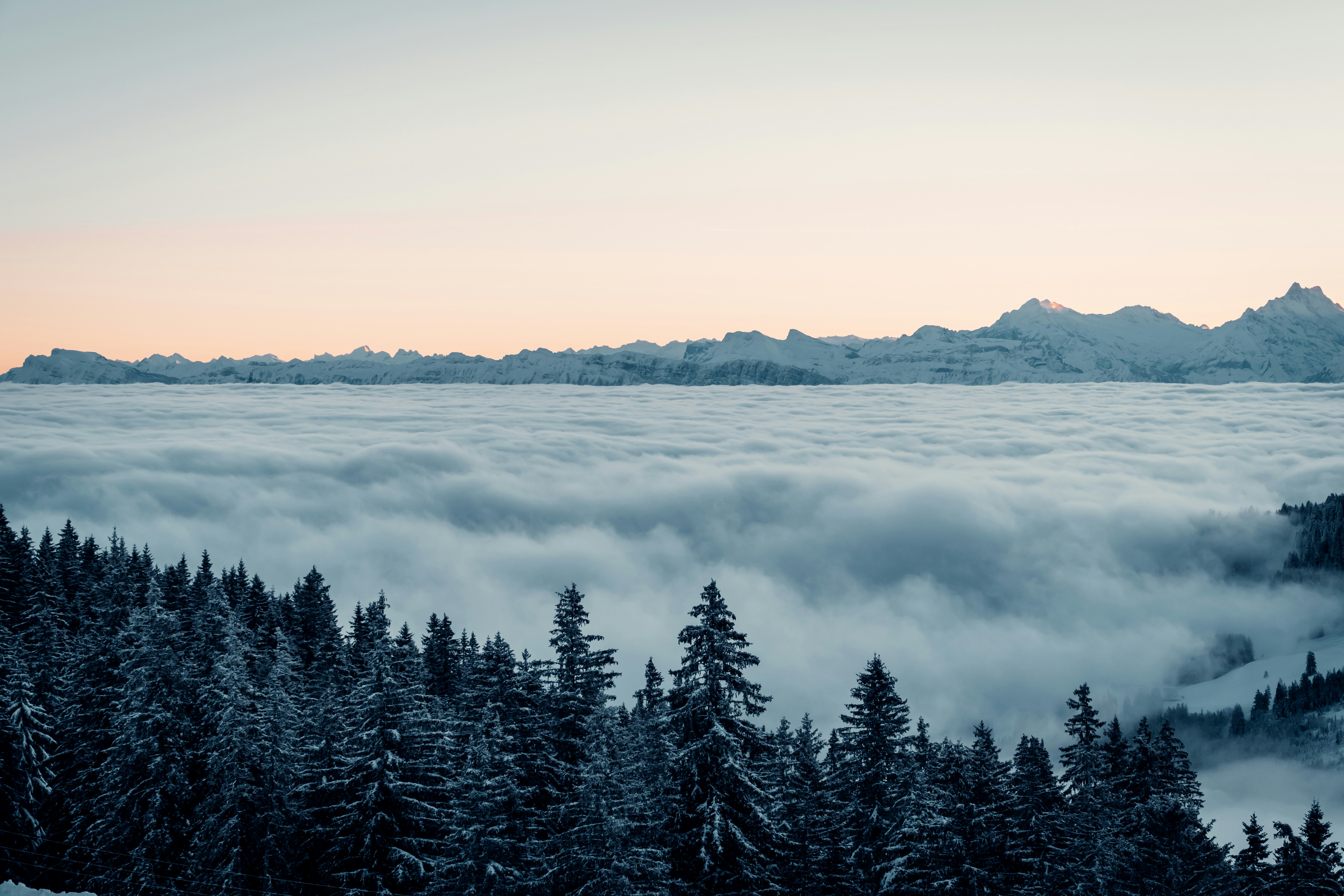 Photo by alainpictures