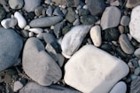 A collection of smooth, variously sized stones and pebbles, featuring a palette of grays, whites, and dark greens. The stones are naturally polished, giving a sleek appearance, with some exhibiting patterns and textures.