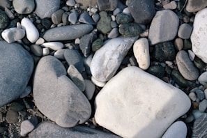 A collection of smooth, variously sized stones and pebbles, featuring a palette of grays, whites, and dark greens. The stones are naturally polished, giving a sleek appearance, with some exhibiting patterns and textures.