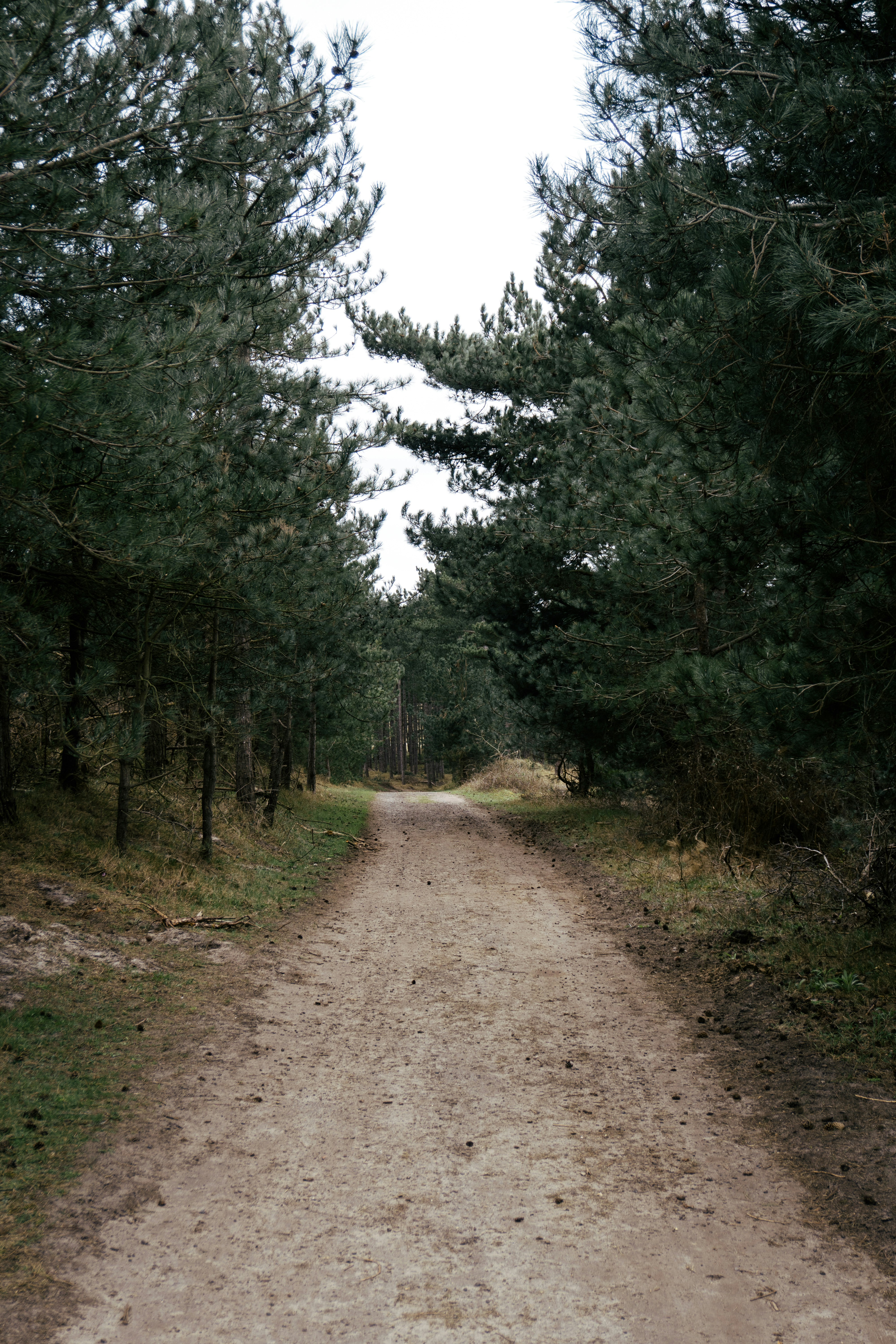 Photo by jurgendekker