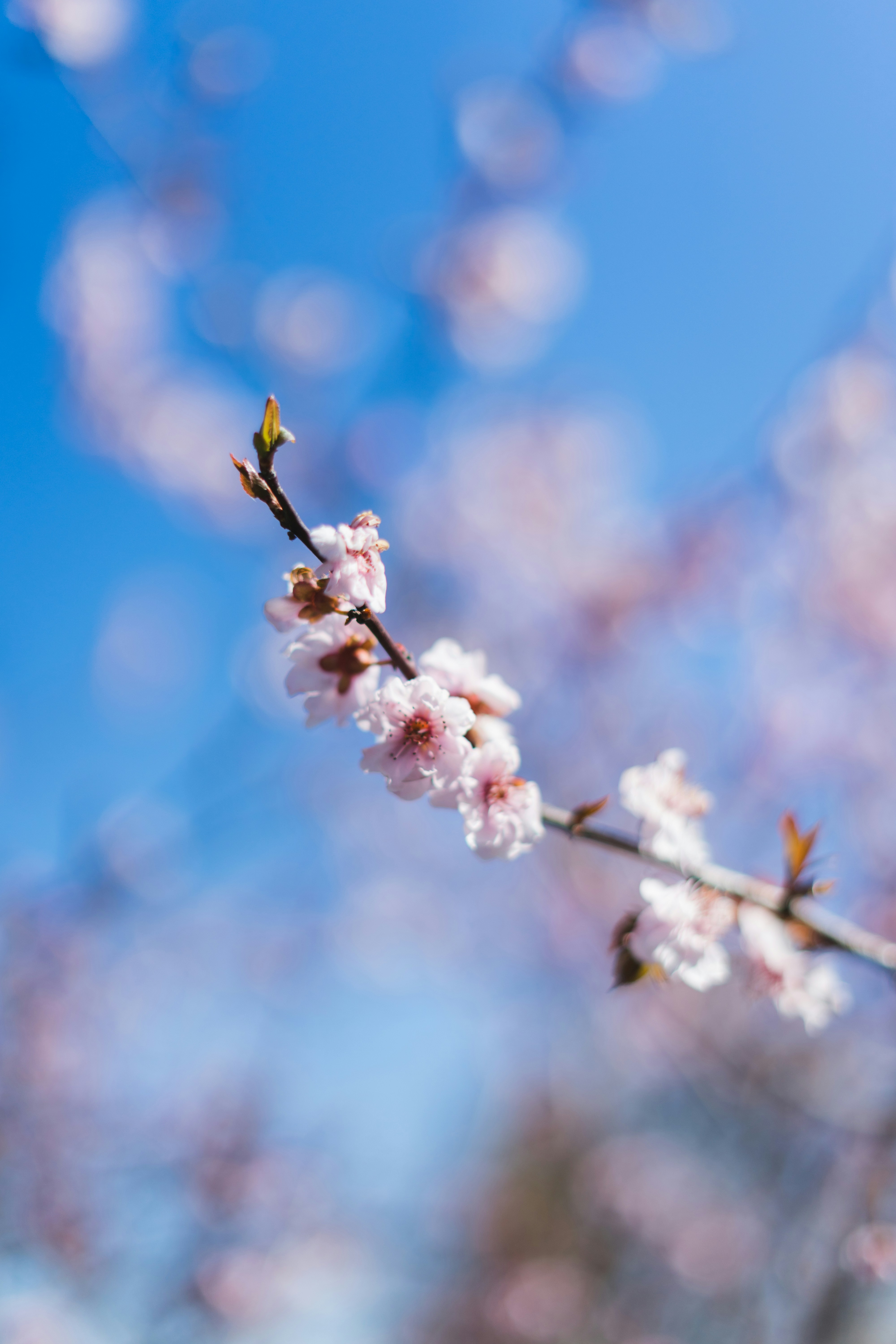 Photo by virussinside