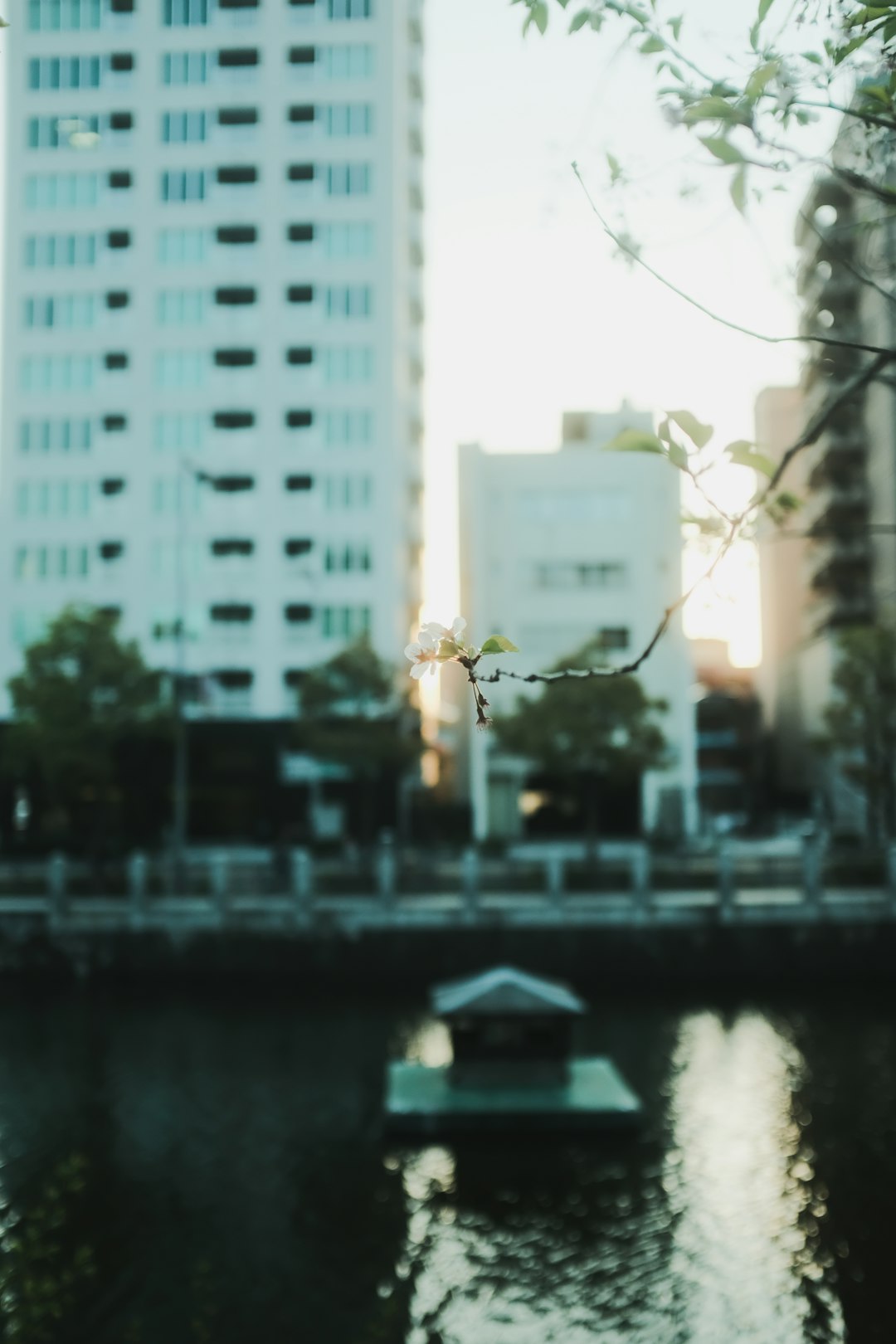 white concrete building near body of water during daytime