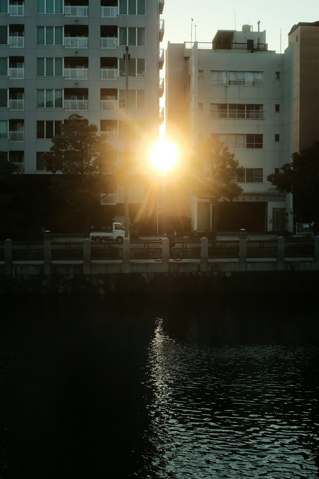 body of water near trees and building during daytime