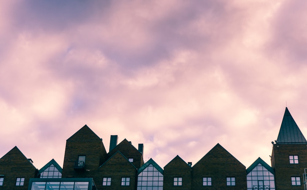 black and brown houses under gray sky