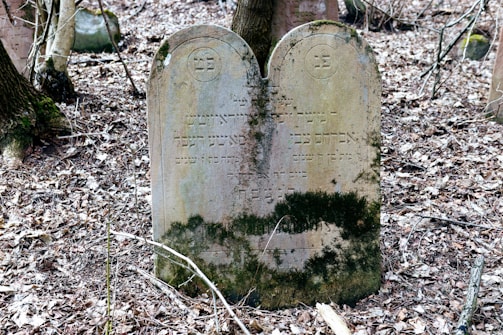 A close-up of a weathered gravestone covered in moss.