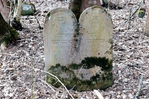 An old weathered tombstone surrounded by moss and fallen leaves in a Thomasville graveyard.