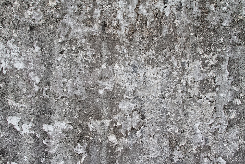 white and gray concrete wall