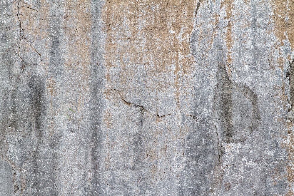 gray and brown concrete wall