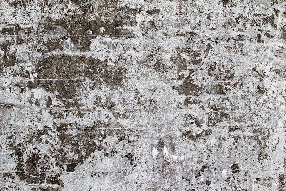 gray paper texture high resolution grunge photo - Texture X