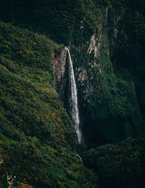 waterfalls in the middle of green mountain