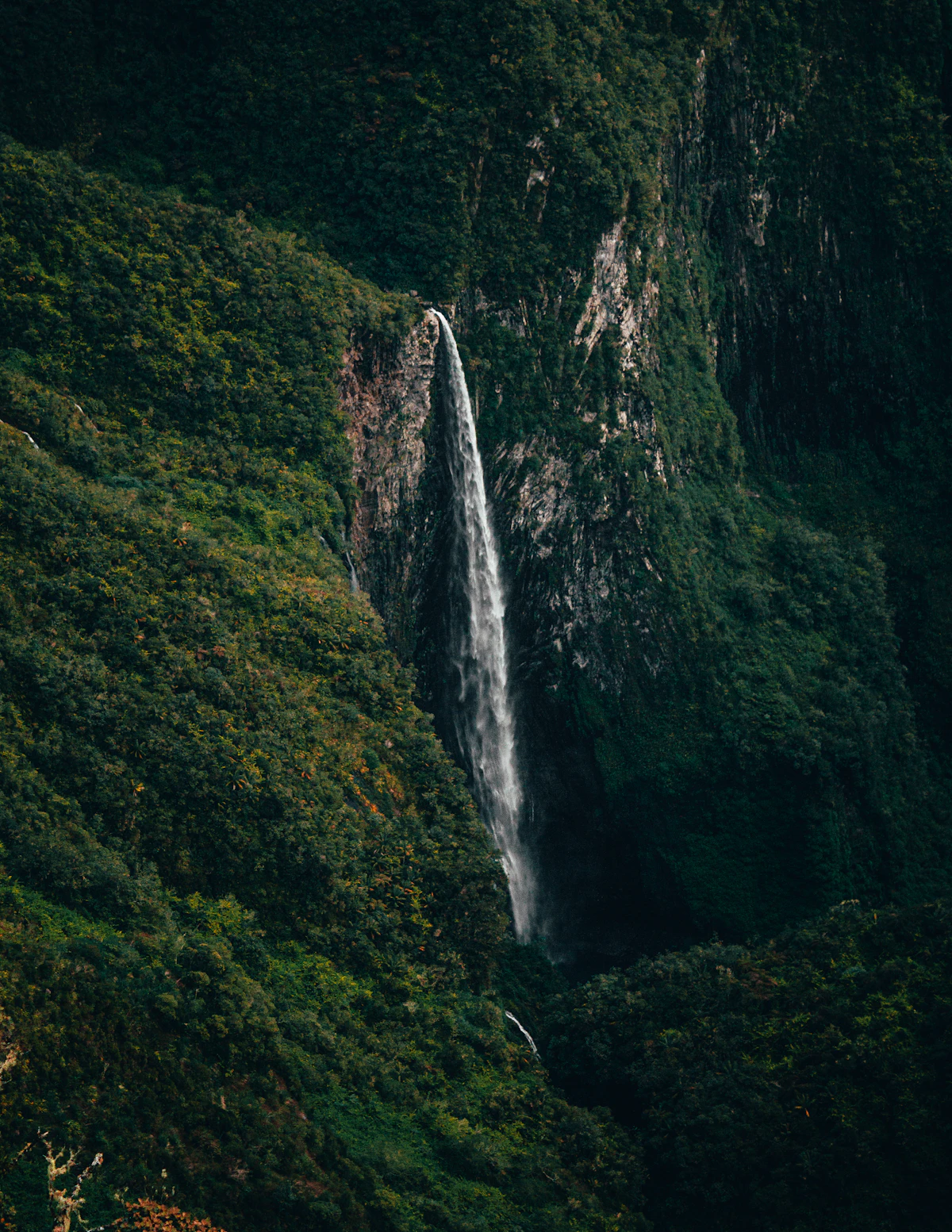 Réunion: Volcano & Cirques